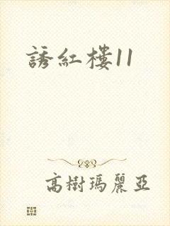 诱红楼11