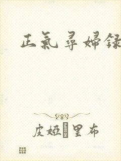 正气寻妇录