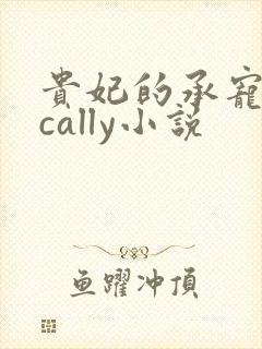 贵妃的承宠日常cally小说