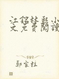 江铭林熙小说全文免费阅读