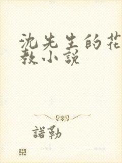 沈先生的花式调教小说