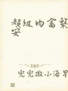 超级肉禽系统保安