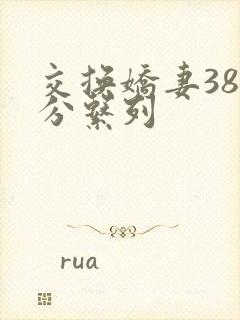 交换娇妻38部分系列