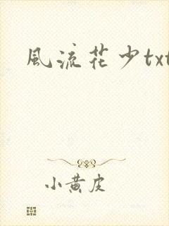 风流花少txt