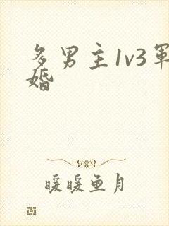 多男主1v3军婚