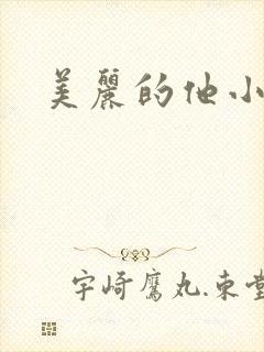 美丽的他小说