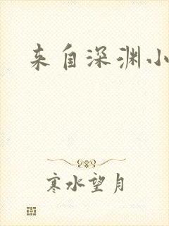 来自深渊小说