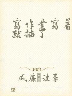 写作业写着写着就插了