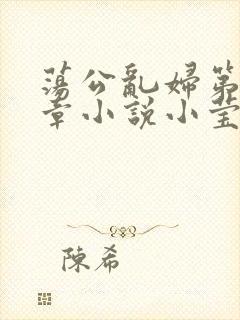 荡公乱妇第51章小说小莹