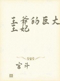 王爷的巨大进入王妃