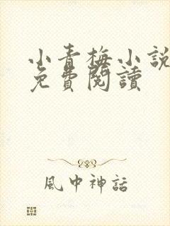 小青梅小说全文免费阅读