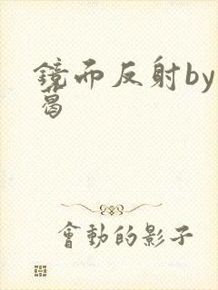 镜面反射by九葛