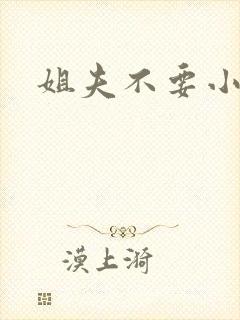 姐夫不要小说