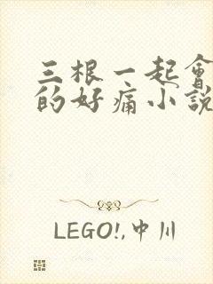 三根一起会坏掉的好痛小说