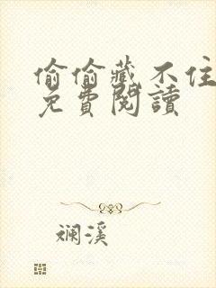 偷偷藏不住小说免费阅读