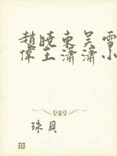 赵晓东吴雪晴郑伟王潇潇小说