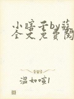 小瞎子by苏软全文免费阅读