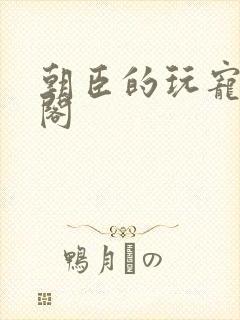 朝臣的玩宠笔趣阁