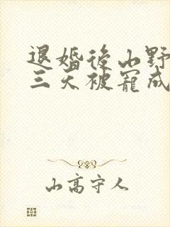 退婚后山野糙汉三天被宠成宝小说