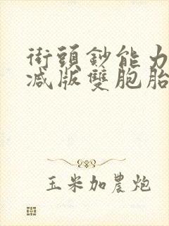 街头钞能力无删减版双胞胎