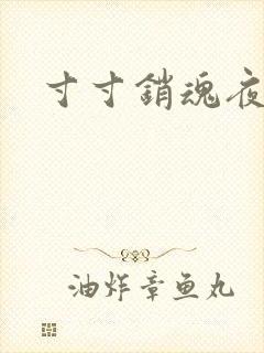 寸寸销魂夜春光