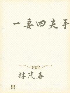 一妻四夫手记