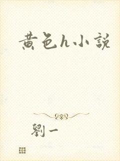 黄色h小说