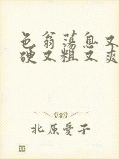 色翁荡息又大又硬又粗又爽小莹