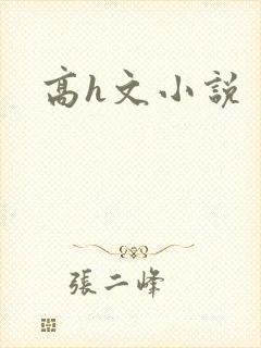 高h文小说