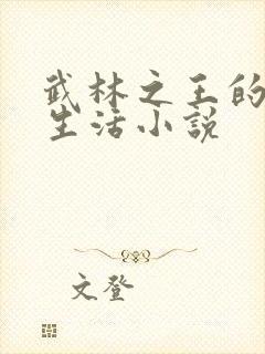 武林之王的退隐生活小说