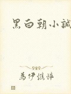 黑白朝小诚