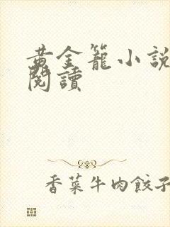 黄金笼小说免费阅读