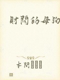 财阀的母狗们