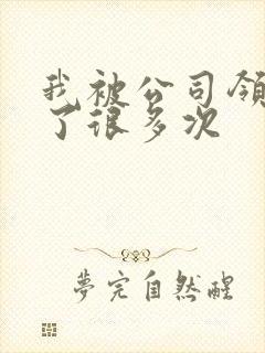 我被公司领导C了很多次