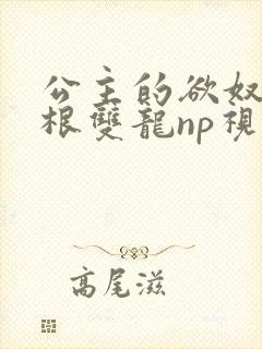 公主的欲奴h四根双龙np视频