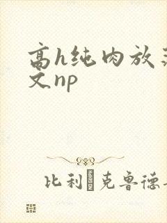 高h纯肉放荡h文np