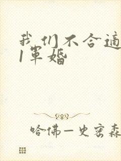 我们不合适1v1军婚