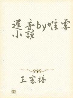 迟音by唯雾的小说