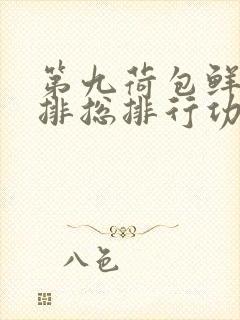 第九荷包鲜辣肉排总排行功能介绍