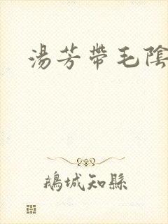 汤芳带毛阴部