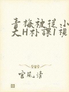 青梅被从小摸到大H补课1视频