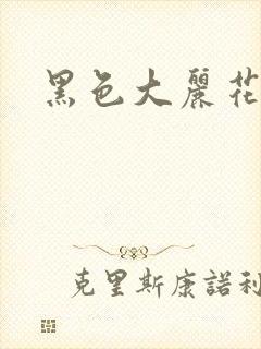 黑色大丽花图片