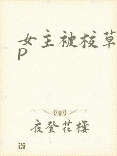 女主被校草们NP