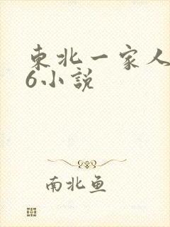 东北一家人1一6小说