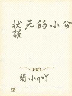 状元的小公主小说