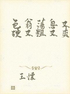 色翁荡息又大又硬又粗又爽电影