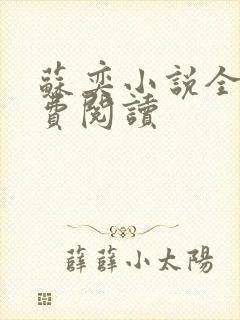 苏奕小说全文免费阅读