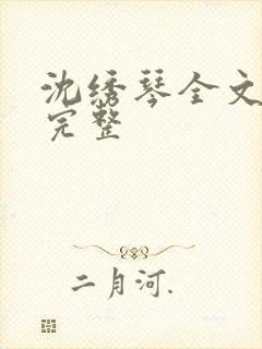 沈绣琴全文阅读完整