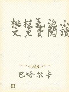 桃枝气泡小说全文免费阅读