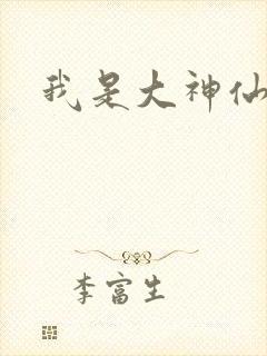我是大神仙小说